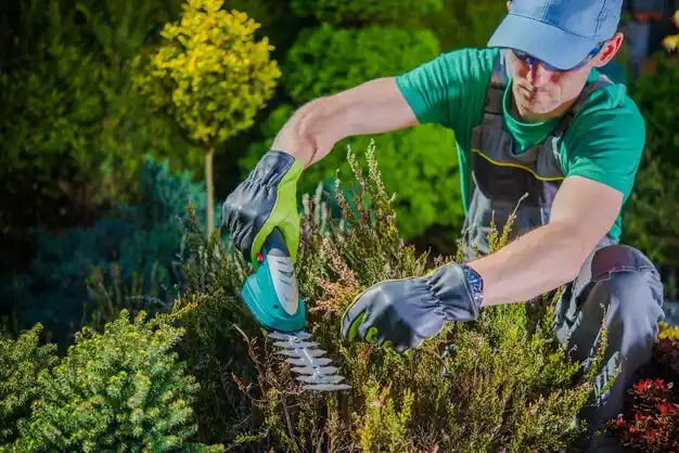 landscaping services Beachwood